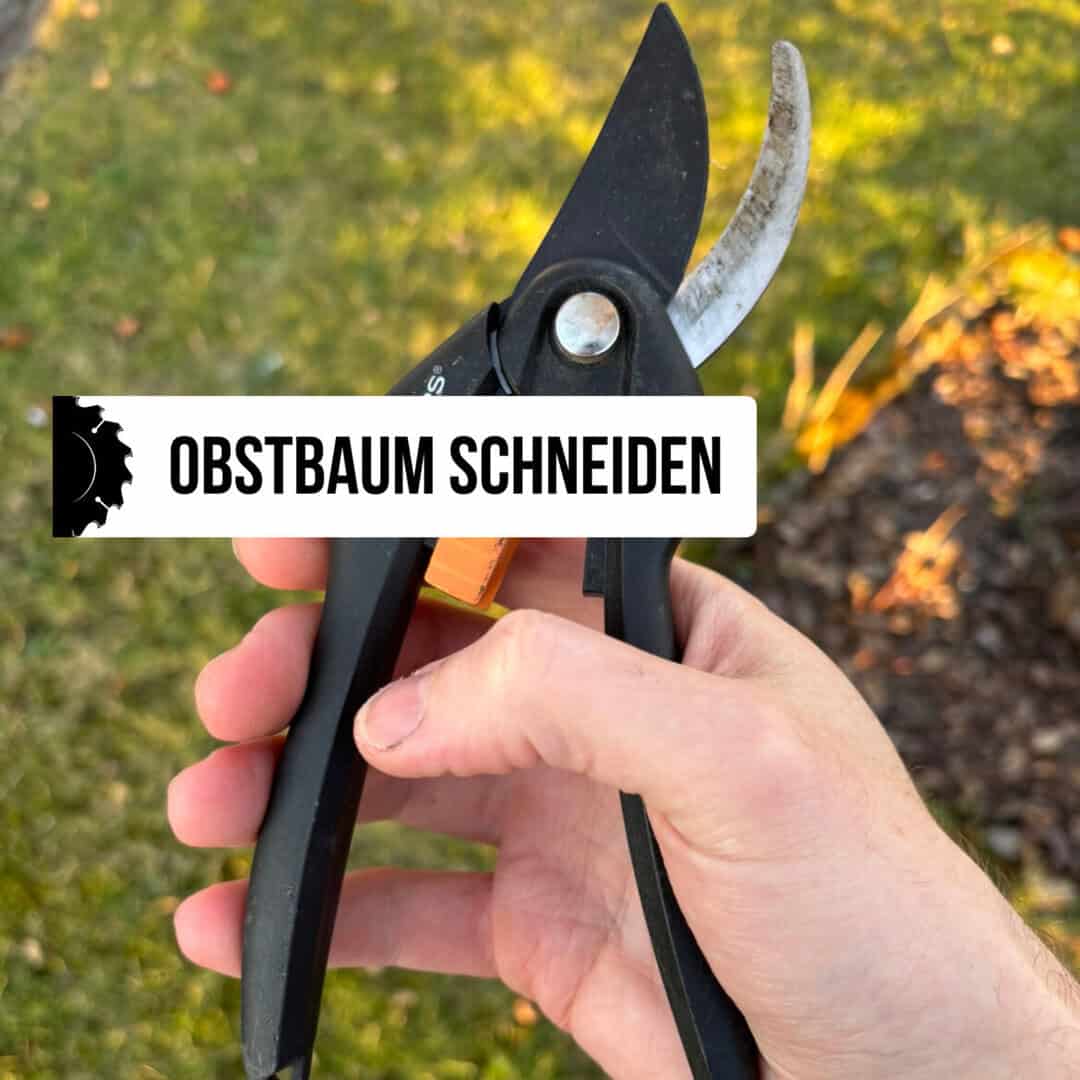 Obstbaum schneiden
